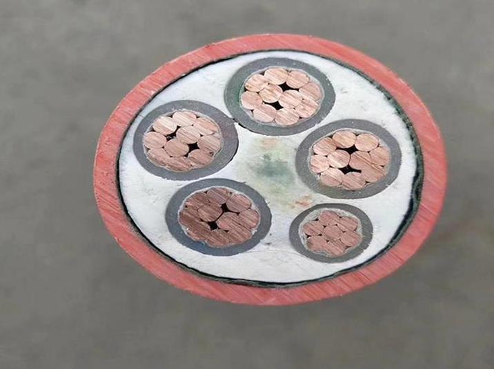 廣州電纜廠礦物質絕緣電纜的溫度和用途有什么影響 廣州電纜廠礦物質絕緣電纜的溫度和用途有什么影響